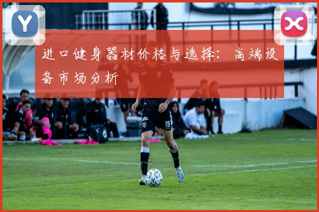 进口健身器材价格与选择:高端设备市场分析