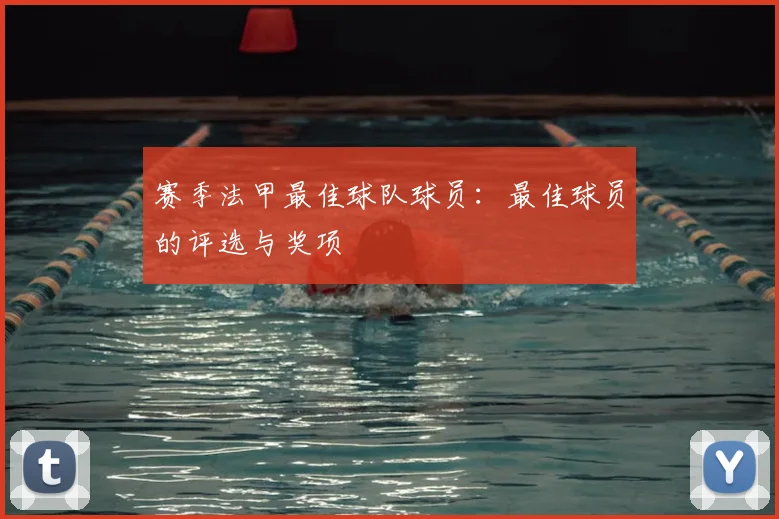 赛季法甲最佳球队球员：最佳球员的评选与奖项