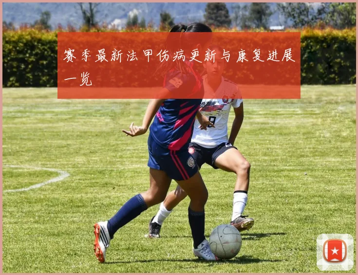 赛季最新法甲伤病更新与康复进展一览